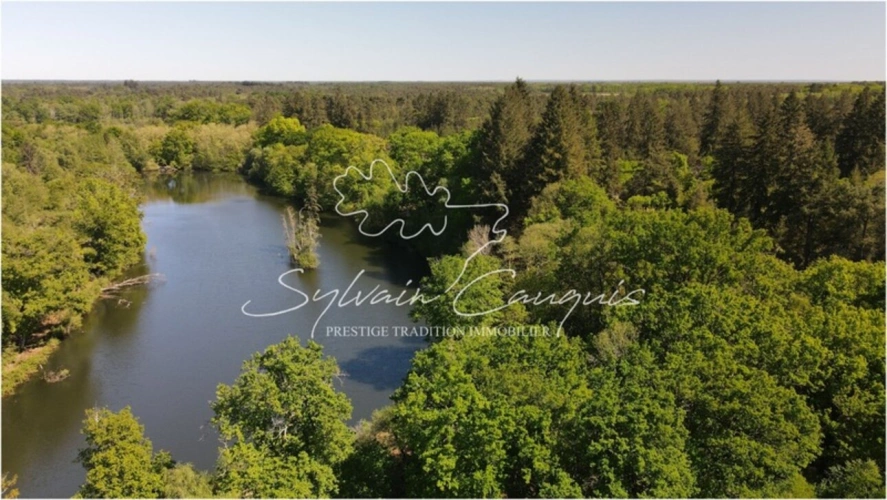 Photos 1 - Prestige - Propriété de Chasse ou d'Agrément de 40 hectares en Sologne