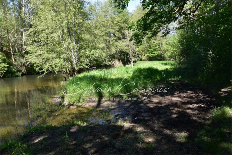 Photos 5 - Prestige - Propriété de Chasse ou d'Agrément de 40 hectares en Sologne