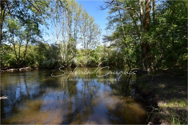Photos 10 - Prestige - Propriété de Chasse ou d'Agrément de 40 hectares en Sologne
