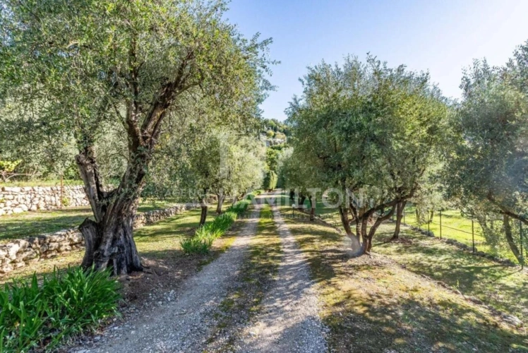 Photos 13 - Tourist - Fantastic 2 houses property in a quiet and green environment