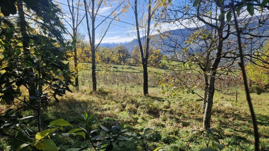 Photos 2 - Équestre - Maison de caractère au calme avec 2,7ha de terrain