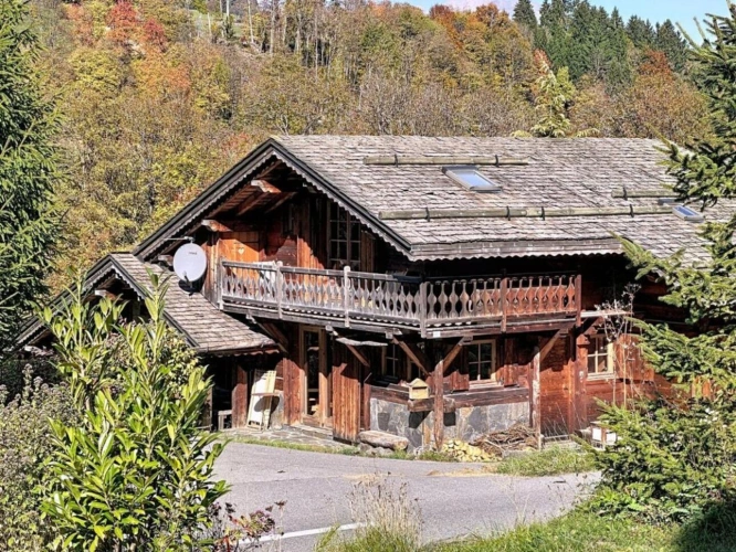 Photos 3 - Prestige - Chalet typique en Bois