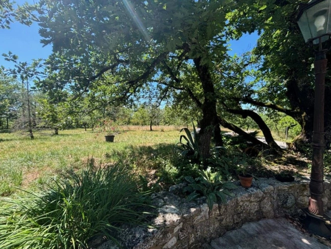 Photos 2 - Rurale - Maison 18e Siècle avec 8,5ha