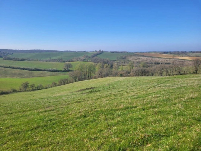 Photos 3 - Rurale - À VENDRE - Domaine agricole d'exception - Secteur SAMATAN (32130)