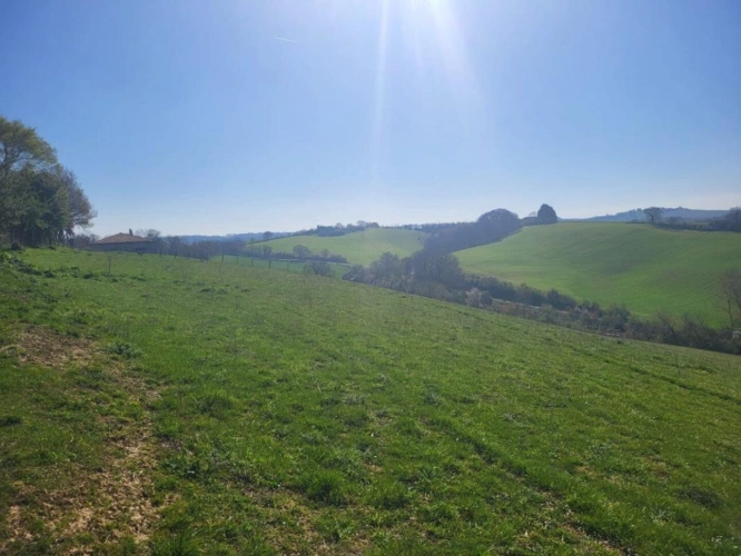 Photos 4 - Rurale - À VENDRE - Domaine agricole d'exception - Secteur SAMATAN (32130)