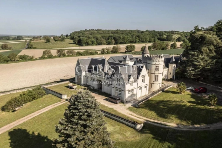 Photos 1 - Vineyard - Exceptional Loire Valley Wine Estate with Grand Château, Impressive Chai, and 15 Hectares of AOC Sau