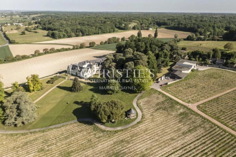 Photos 2 - Vineyard - Exceptional Loire Valley Wine Estate with Grand Château, Impressive Chai, and 15 Hectares of AOC Sau