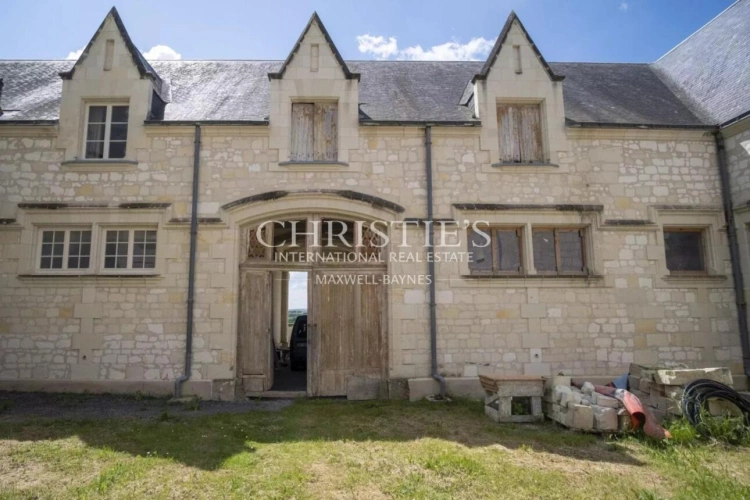 Photos 21 - Vineyard - Exceptional Loire Valley Wine Estate with Grand Château, Impressive Chai, and 15 Hectares of AOC Sau