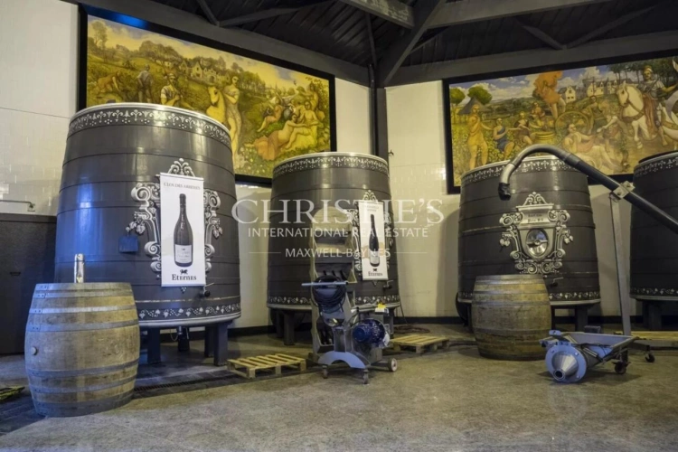 Photos 23 - Vineyard - Exceptional Loire Valley Wine Estate with Grand Château, Impressive Chai, and 15 Hectares of AOC Sau