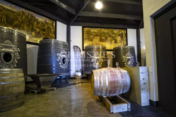 Photos 24 - Vineyard - Exceptional Loire Valley Wine Estate with Grand Château, Impressive Chai, and 15 Hectares of AOC Sau