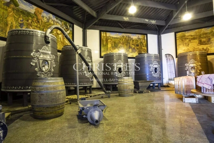 Photos 26 - Vineyard - Exceptional Loire Valley Wine Estate with Grand Château, Impressive Chai, and 15 Hectares of AOC Sau