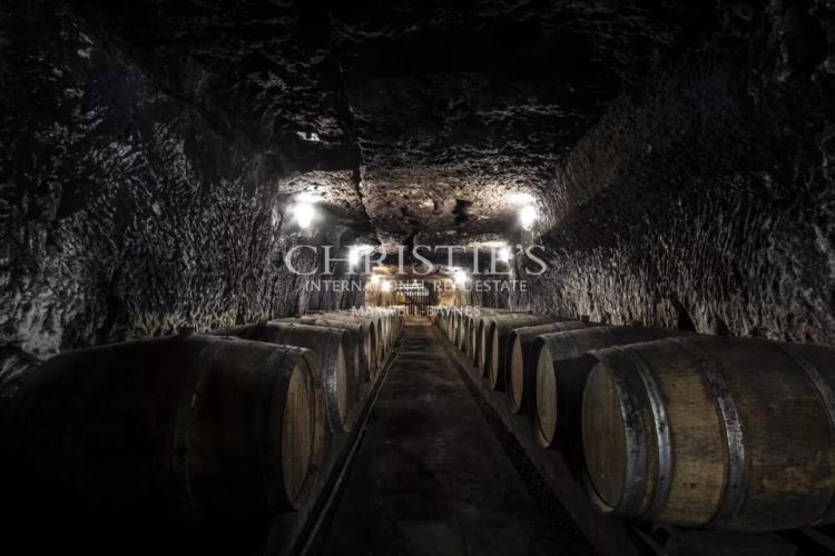 Photos 28 - Vineyard - Exceptional Loire Valley Wine Estate with Grand Château, Impressive Chai, and 15 Hectares of AOC Sau