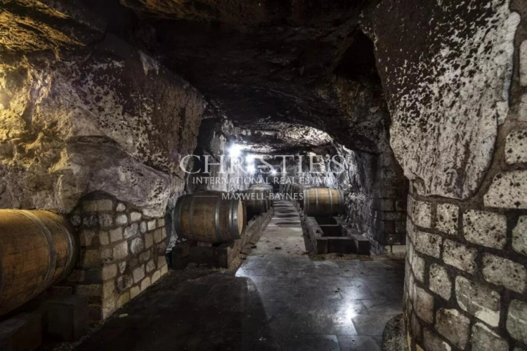 Photos 30 - Vineyard - Exceptional Loire Valley Wine Estate with Grand Château, Impressive Chai, and 15 Hectares of AOC Sau