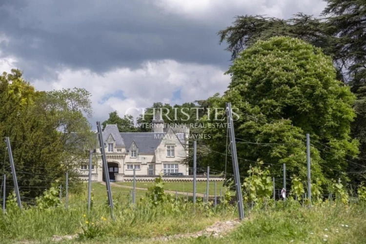 Photos 32 - Vineyard - Exceptional Loire Valley Wine Estate with Grand Château, Impressive Chai, and 15 Hectares of AOC Sau