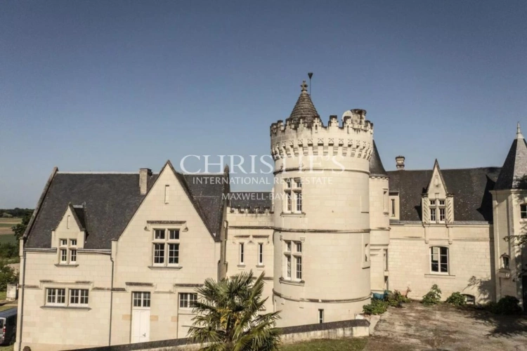 Photos 33 - Vineyard - Exceptional Loire Valley Wine Estate with Grand Château, Impressive Chai, and 15 Hectares of AOC Sau
