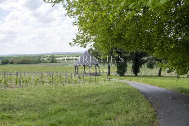 Photos 36 - Vineyard - Exceptional Loire Valley Wine Estate with Grand Château, Impressive Chai, and 15 Hectares of AOC Sau