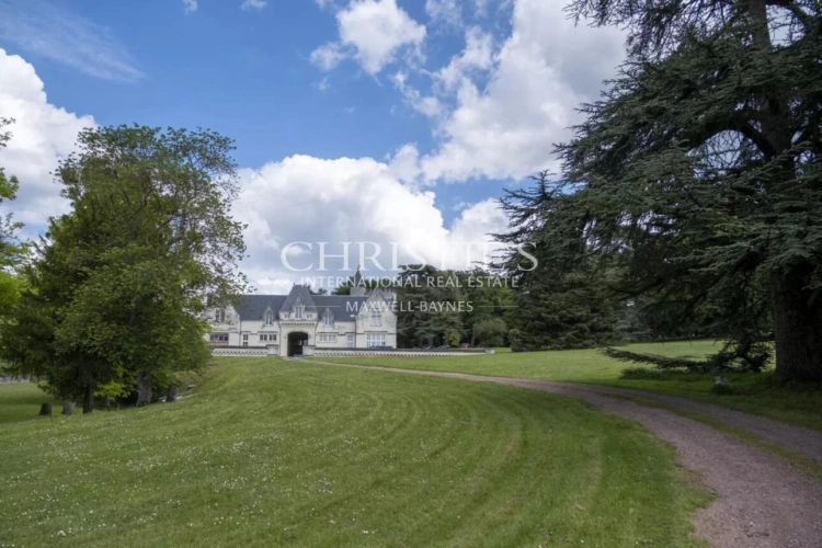 Photos 37 - Vineyard - Exceptional Loire Valley Wine Estate with Grand Château, Impressive Chai, and 15 Hectares of AOC Sau