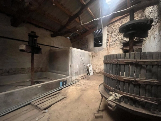 Photos 2 - Rurale - Maison de Maître, dépendances et terrain agricole