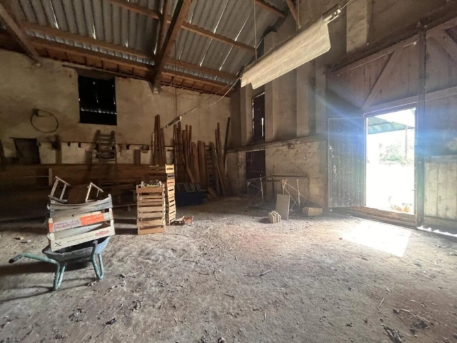 Photos 5 - Rurale - Maison de Maître, dépendances et terrain agricole