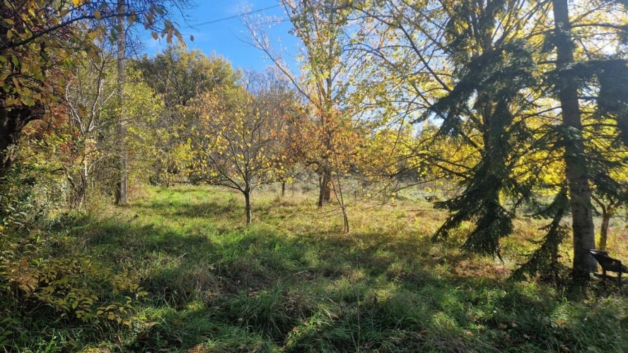 Photos 6 - Équestre - Maison de caractère au calme avec 2,7ha de terrain