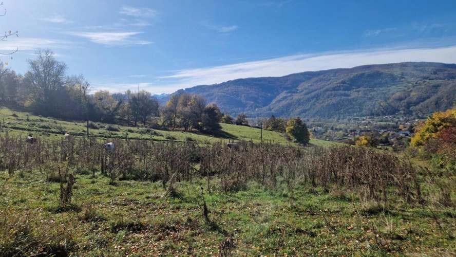 Photos 8 - Équestre - Maison de caractère au calme avec 2,7ha de terrain
