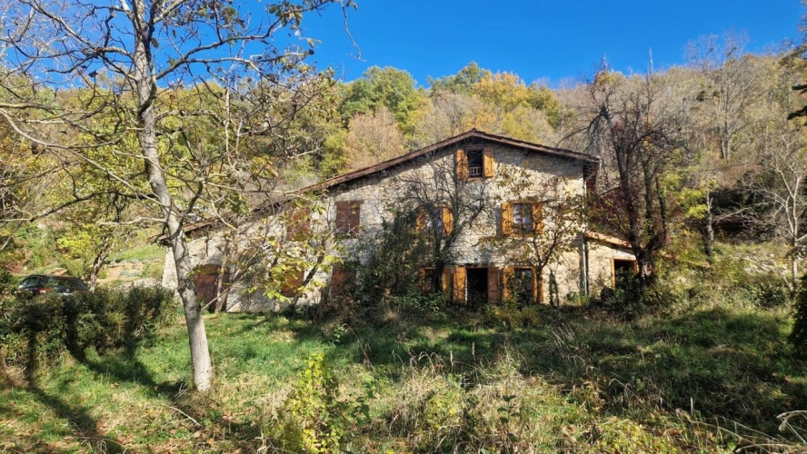 Photos 9 - Équestre - Maison de caractère au calme avec 2,7ha de terrain