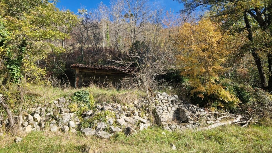 Photos 10 - Équestre - Maison de caractère au calme avec 2,7ha de terrain
