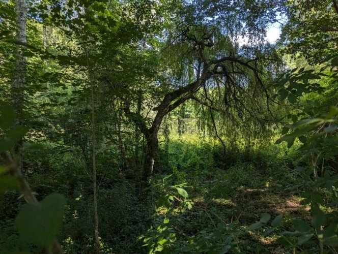 Photos 18 - Touristique - Manoir du XVIIe siècle sur 14500 m² de terrain