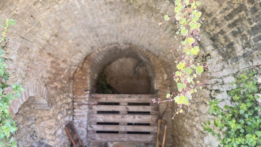 Photos 14 - Prestige - Tour médiévale dans l'un des plus beaux villages de France - Quercy Blanc