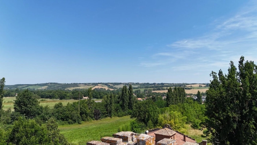 Photos 18 - Prestige - Château de caractère avec orangerie & potentiel évènementiel - Saint-Nauphary, à 10 min de Montauban et 50 min de Toulouse