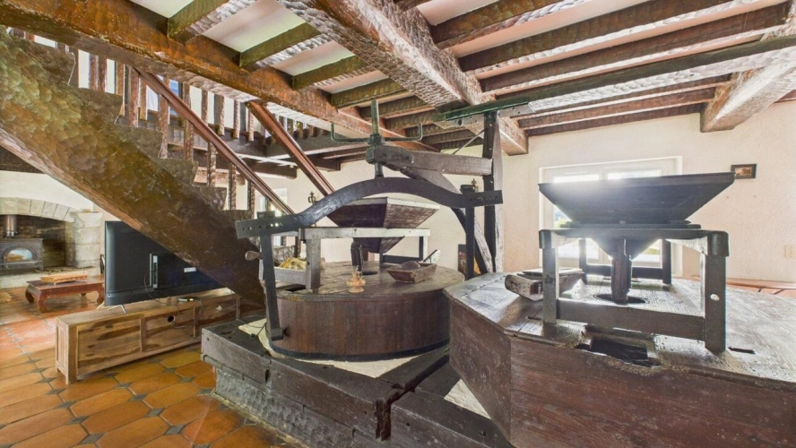 Photos 17 - Équestre - Propriété agricole de caractère avec moulin, terres et bâtiments à 40 minutes de Hossegor