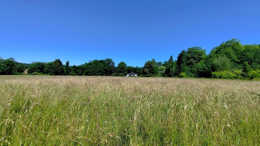 Photos 1 - Équestre - Propriété agricole de caractère avec moulin, terres et bâtiments à 40 minutes de Hossegor