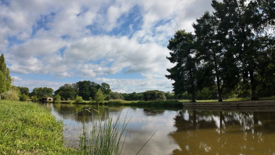 Photos 2 - Équestre - Propriété agricole de caractère avec moulin, terres et bâtiments à 40 minutes de Hossegor
