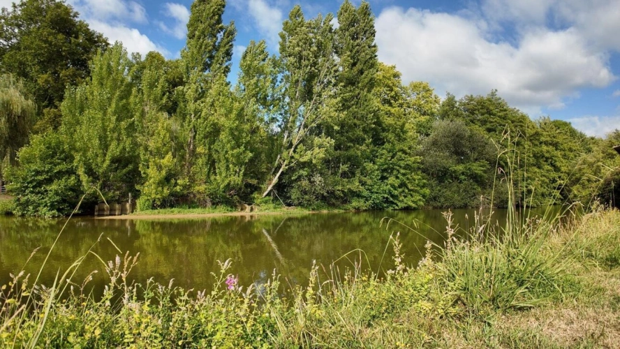 Photos 3 - Équestre - Propriété agricole de caractère avec moulin, terres et bâtiments à 40 minutes de Hossegor