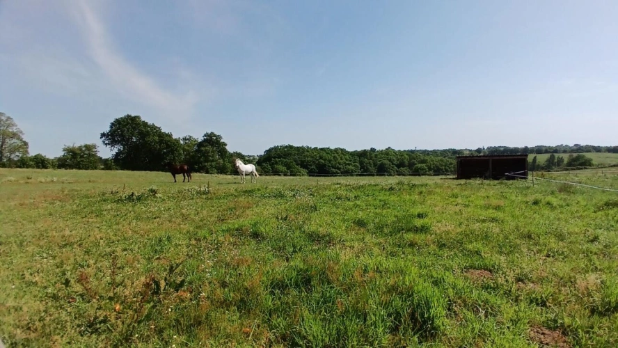 Photos 18 - Touristique - Propriété de charme : demeure principale, deux gîtes sur plus de 3 hectares