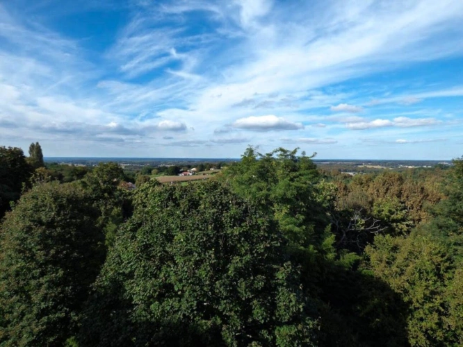 Photos 18 - Prestigious - Feudal castle in the heart of the Landes on 3.5 hectares