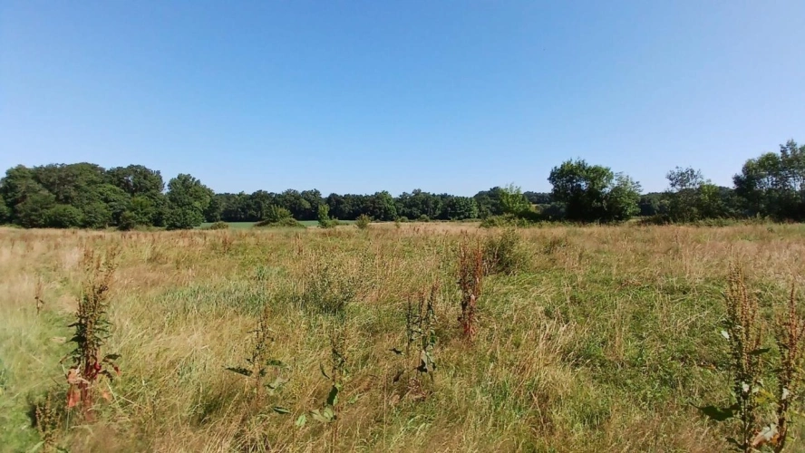 Photos 16 - Équestre - Propriété modulable sur 7 hectares à 15 min de Dax