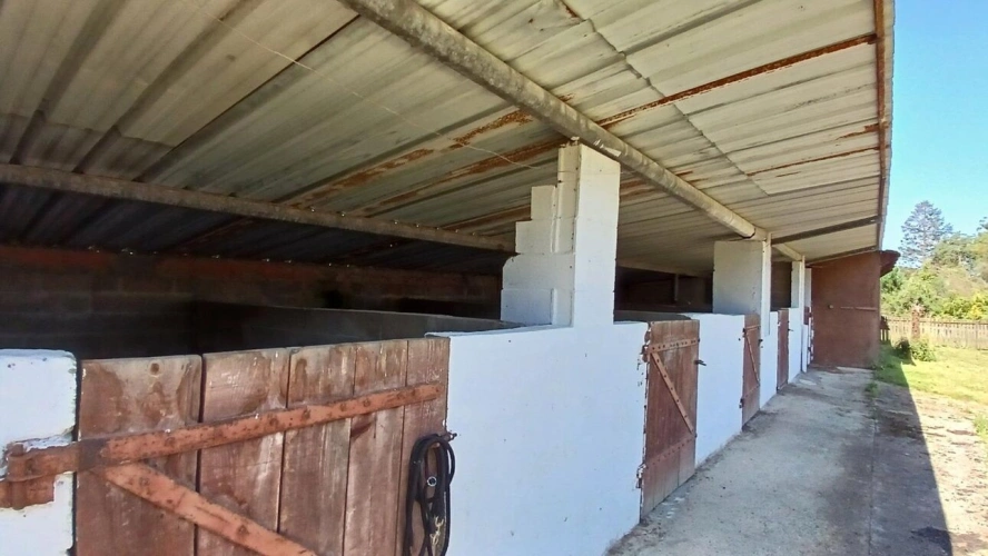 Photos 1 - Équestre - Propriété modulable sur 7 hectares à 15 min de Dax