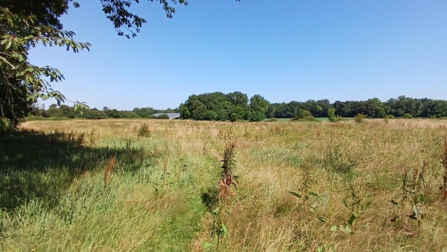 Photos 2 - Équestre - Propriété modulable sur 7 hectares à 15 min de Dax