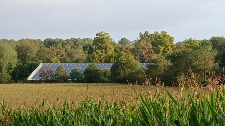 Photos 4 - Équestre - Propriété modulable sur 7 hectares à 15 min de Dax
