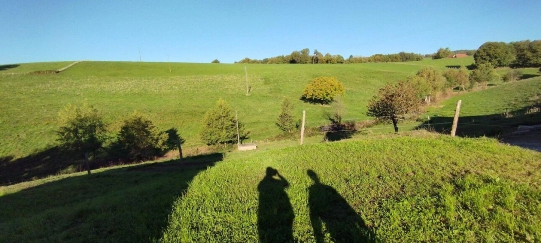 Photos 4 - Équestre - Propriété d'exception 1,5 ha avec Ruisseau