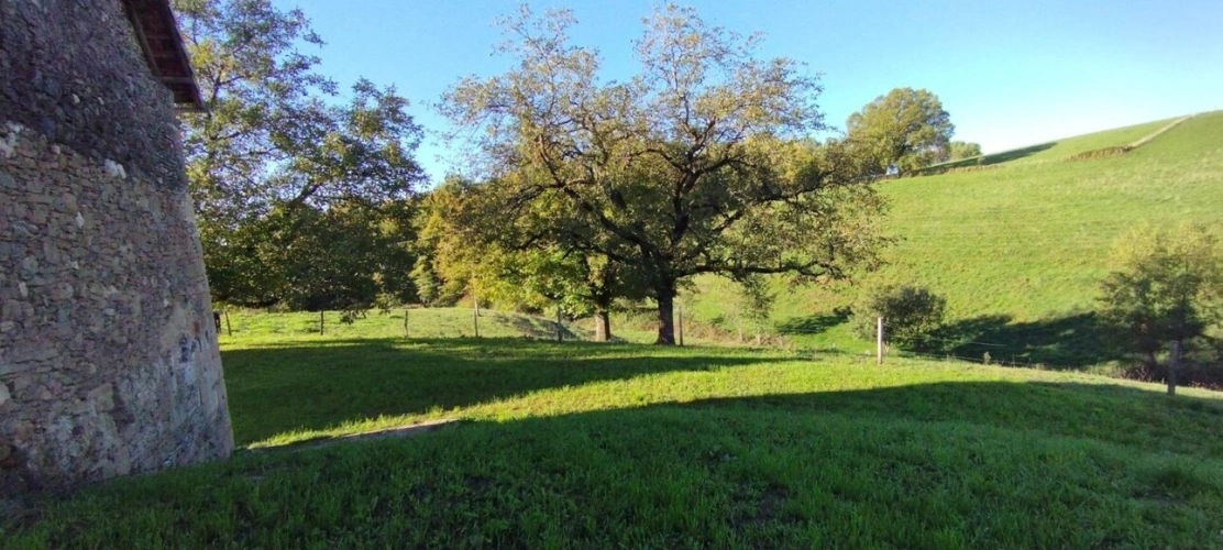 Photos 5 - Équestre - Propriété d'exception 1,5 ha avec Ruisseau