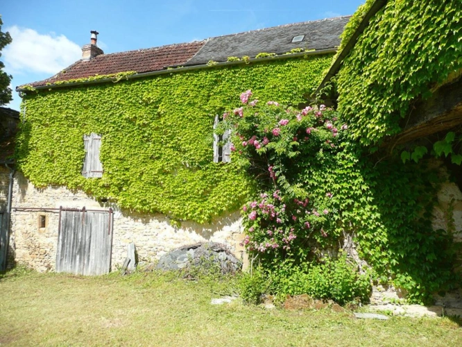 Photos 4 - Rurale - Corps de ferme - Vailhourles