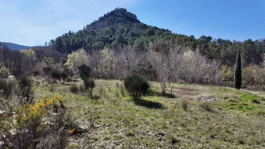 Photos 3 - Touristique - ENTRECHAUX  L'AUTHENTICITÉ D'UN MAS PROVENÇAL AUX VOLUMES HORS NORMES