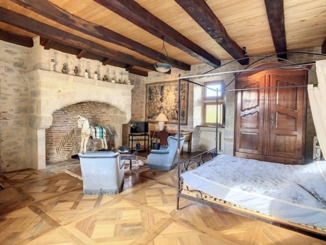 Photos 13 - Prestige - Château médiéval du XIIIème siècle