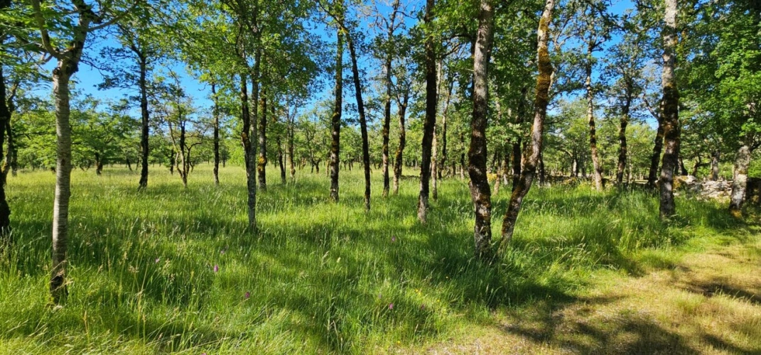Photos 4 - Touristique - Propriété de charme en pierre au coeur des Causses du Quercy