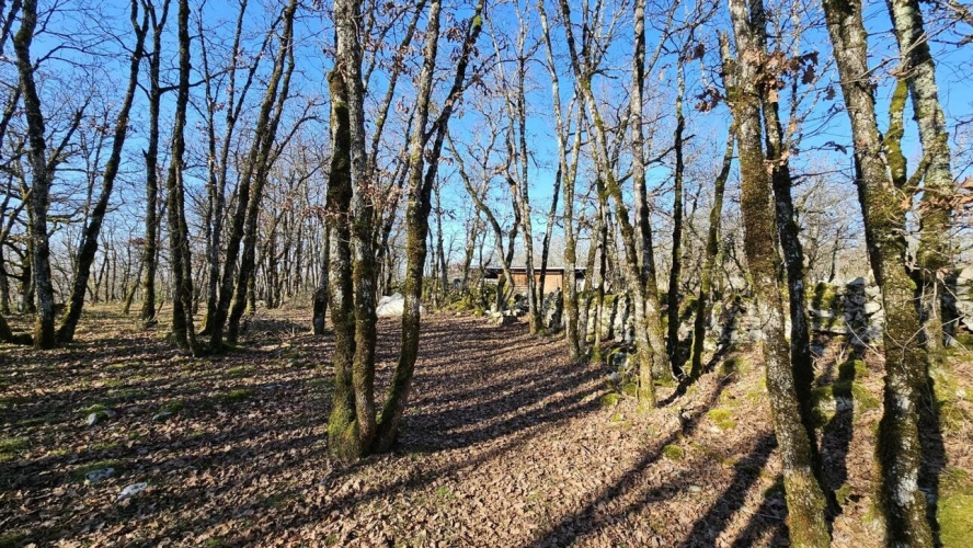 Photos 15 - Agricole - Une vue à couper le souffle !
