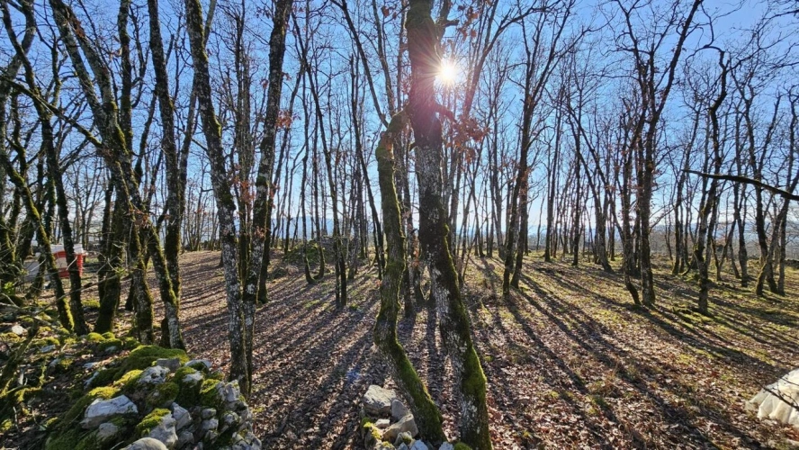 Photos 18 - Agricole - Une vue à couper le souffle !