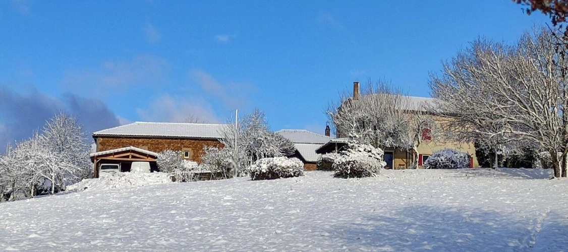 Photos 13 - Rurale - Maison Typique du ségala