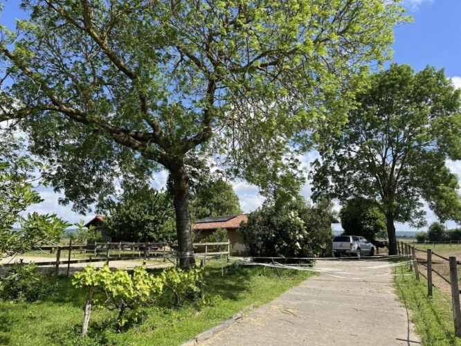 Photos 1 - Equestrian - Farm with outbuildings